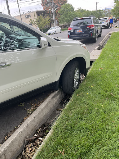 Photo from customer review