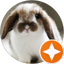 Raine. profile picture